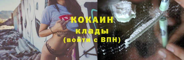 ГАЛЛЮЦИНОГЕННЫЕ ГРИБЫ Баксан