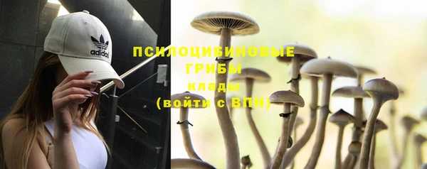амф Балабаново