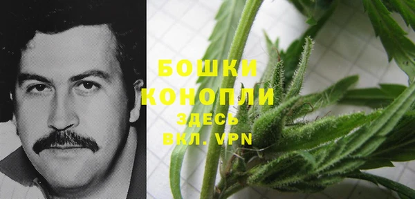 ГАЛЛЮЦИНОГЕННЫЕ ГРИБЫ Баксан